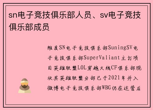 sn电子竞技俱乐部人员、sv电子竞技俱乐部成员